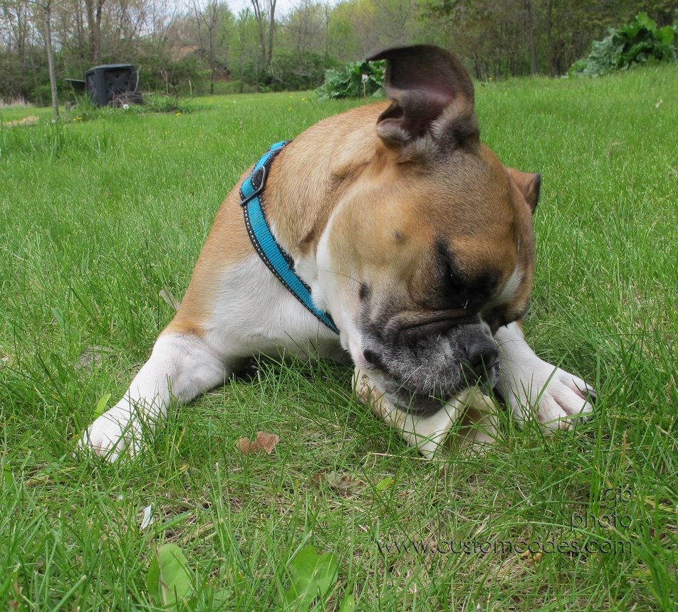 Annie_20120429_15