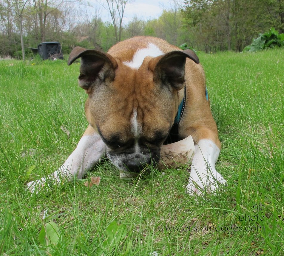 Annie_20120429_11