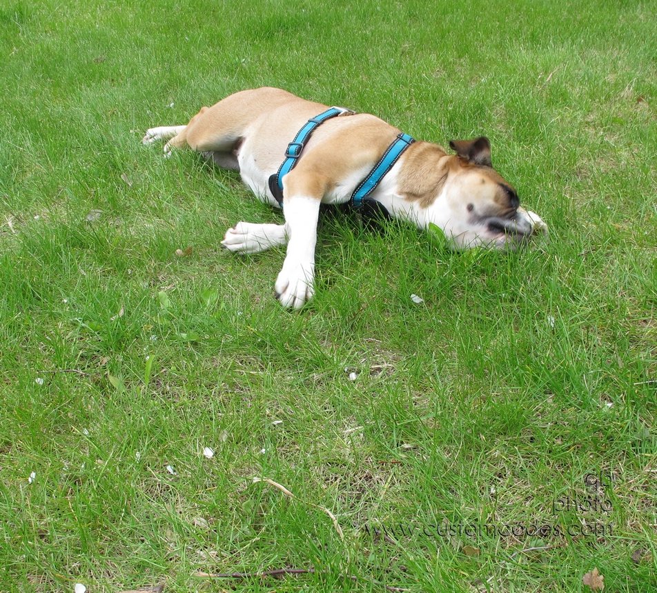 Annie_20120429_17