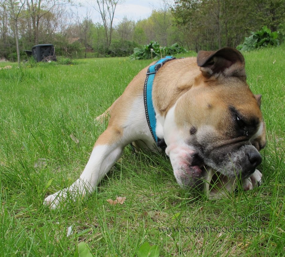 Annie_20120429_12