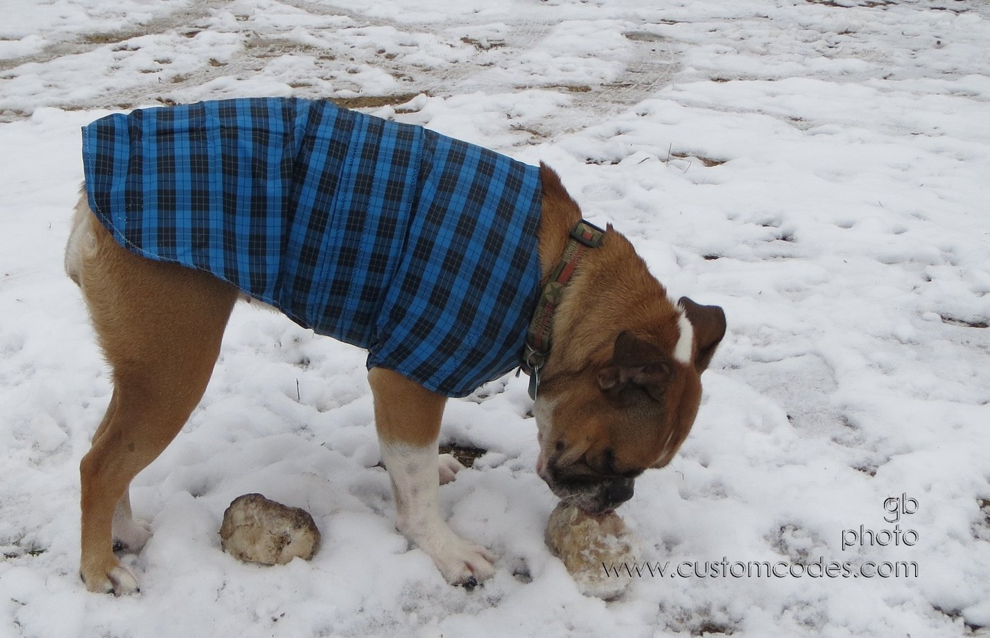 Annie_20121210