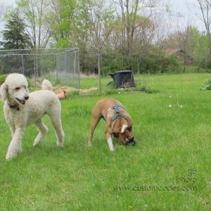 ElwoodAnnie_20120429_9