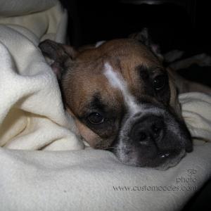 Annie_20120925