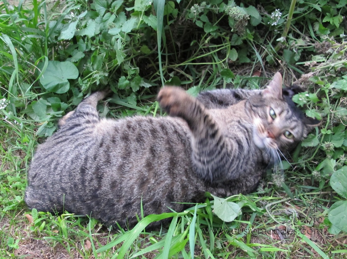 MaxWorldSpinning_20120828