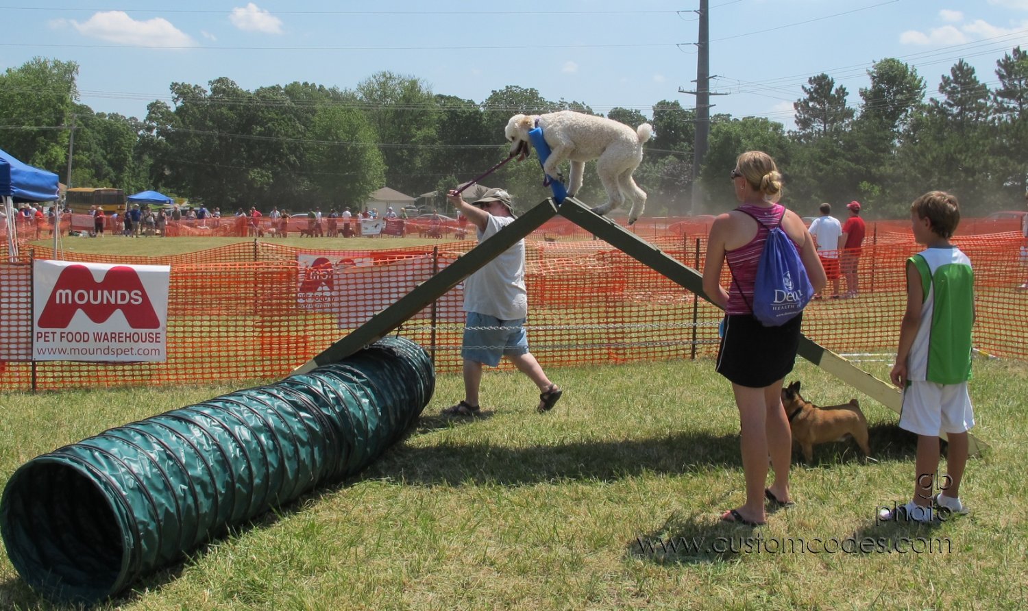 MoundsDogFest2012_6