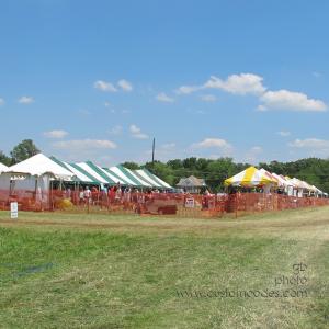 MoundsDogFest20120610_ExitHere