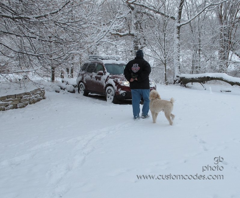 boyAndHisDog_20120224