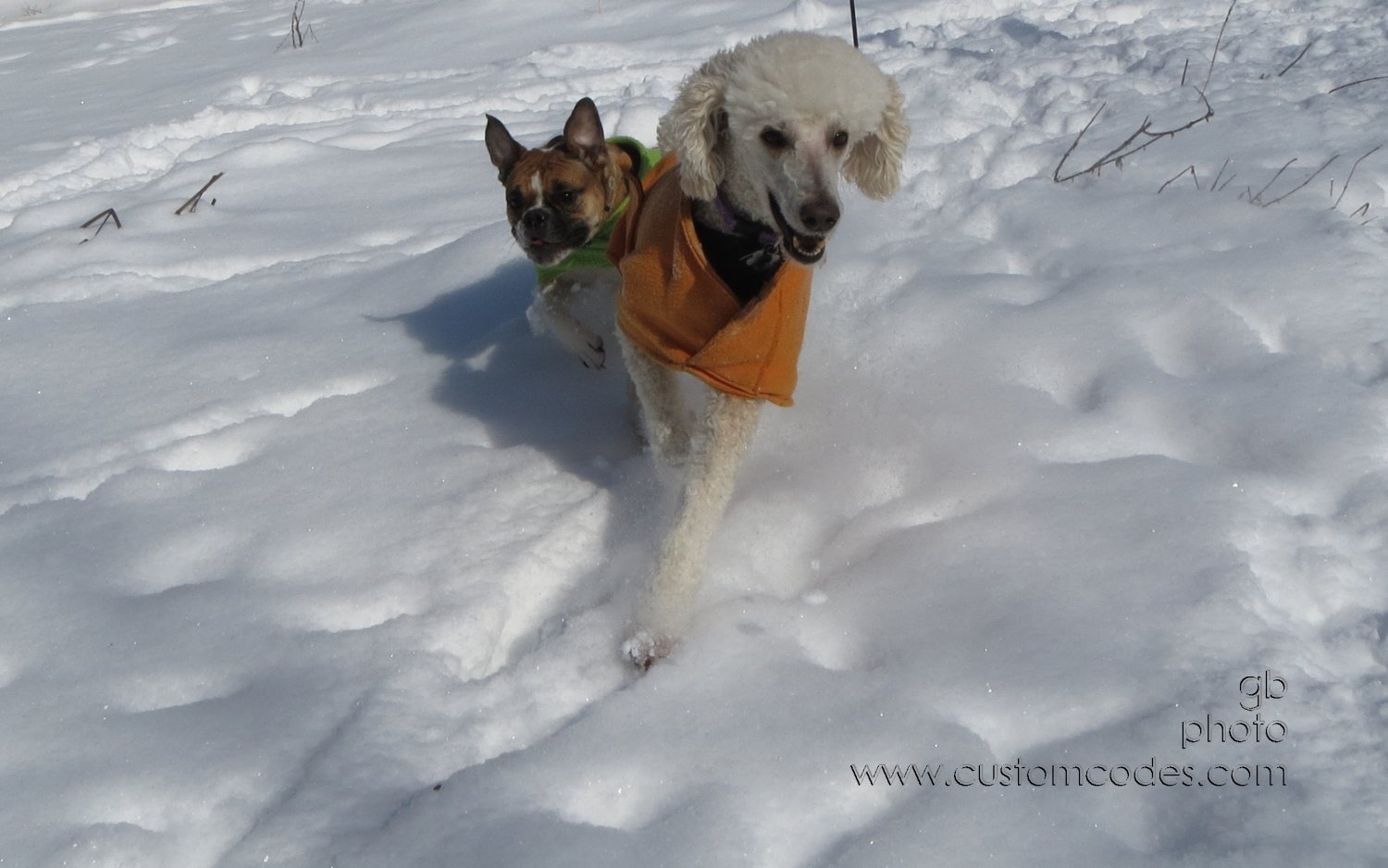 BestFriends_20130202