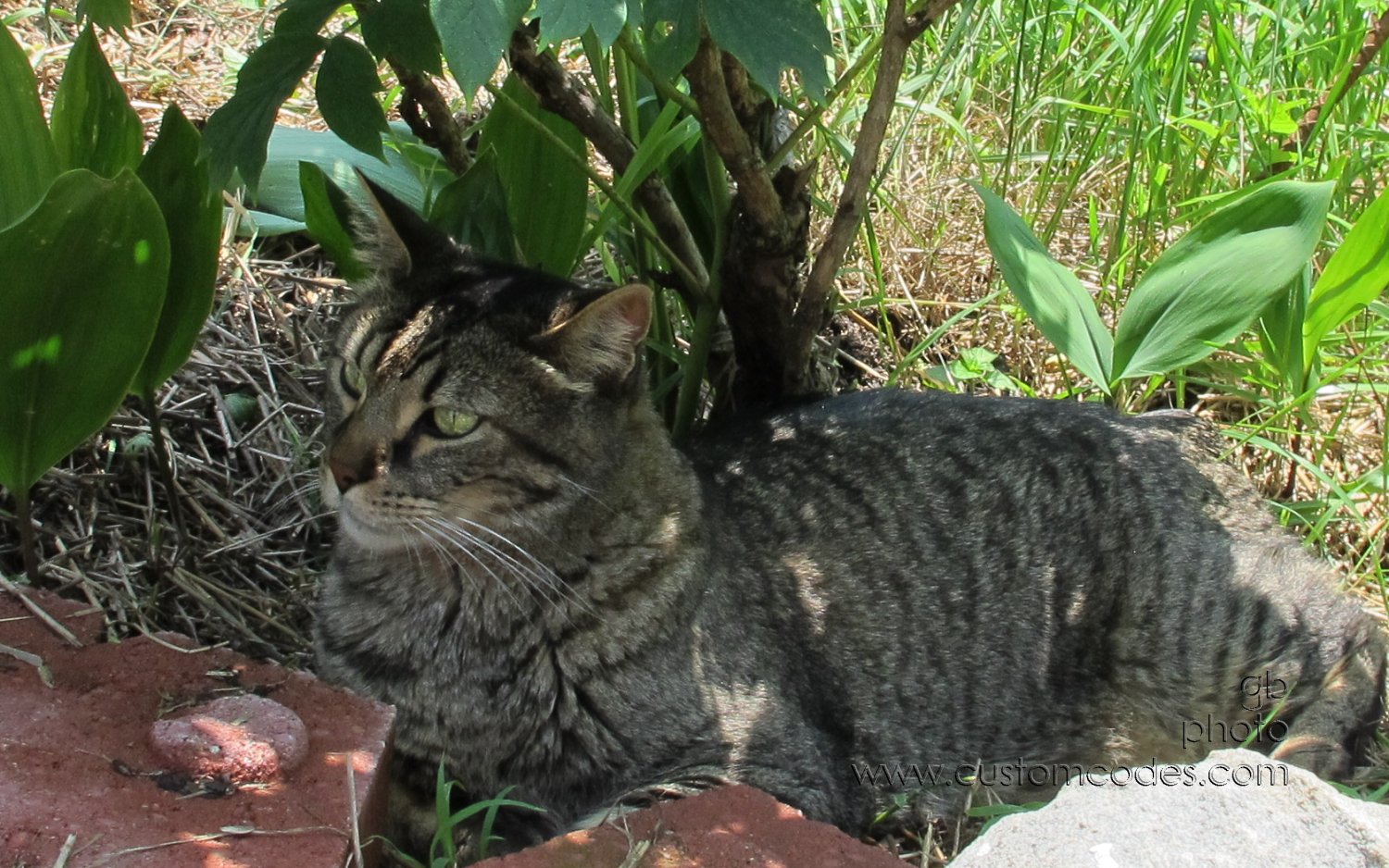 Max_20130623