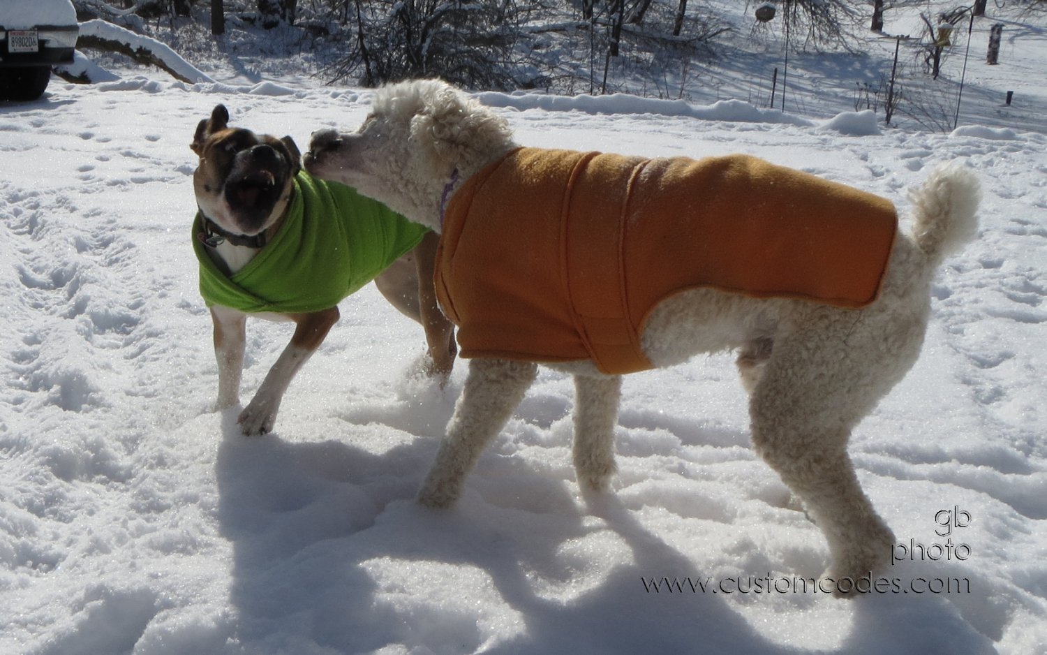 DuelingJawsAnnie_20130202