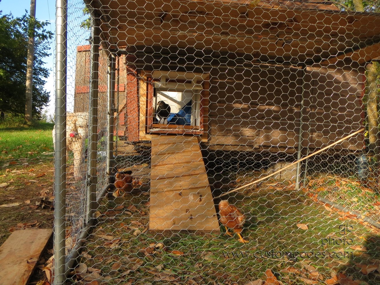 peeps_20131017
