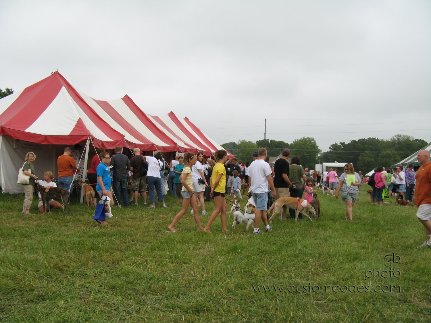 MoundsDogFest2010_a