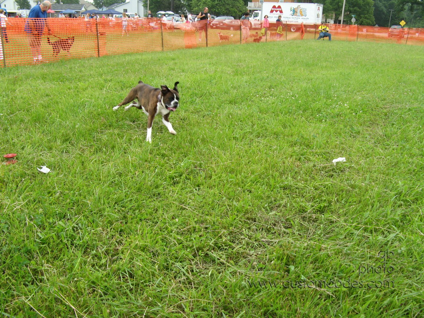 MoundsDogFest2010_c