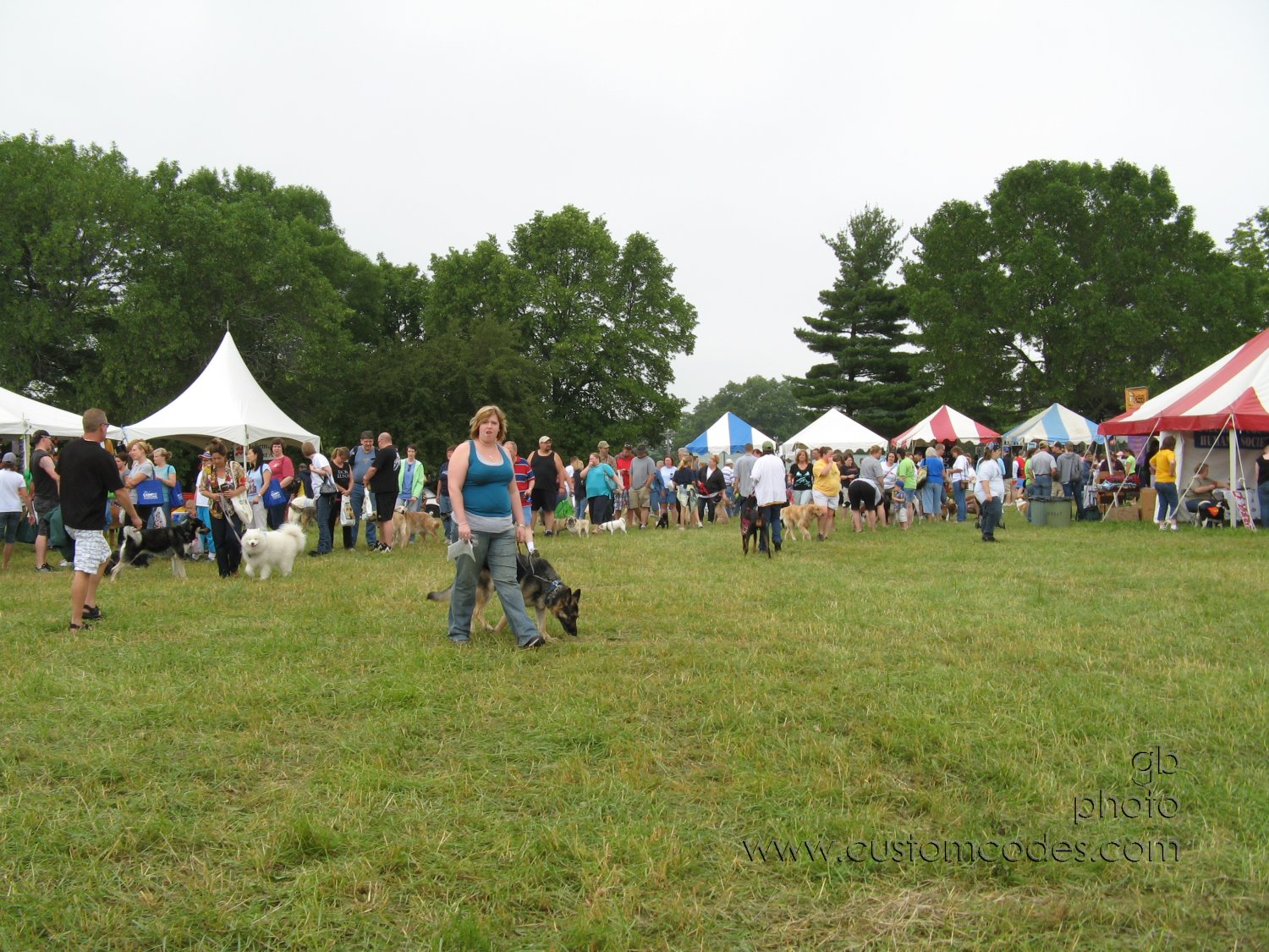 MoundsDogFest2010_b