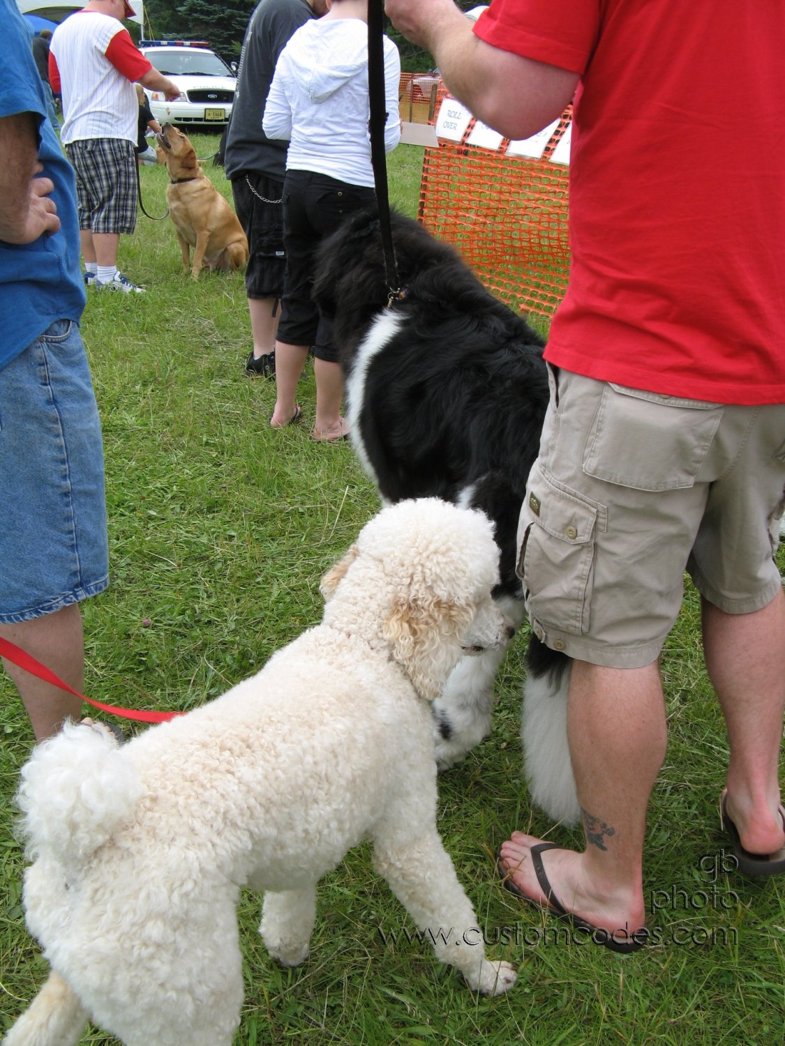 MoundsDogFest2010_Elwood_a
