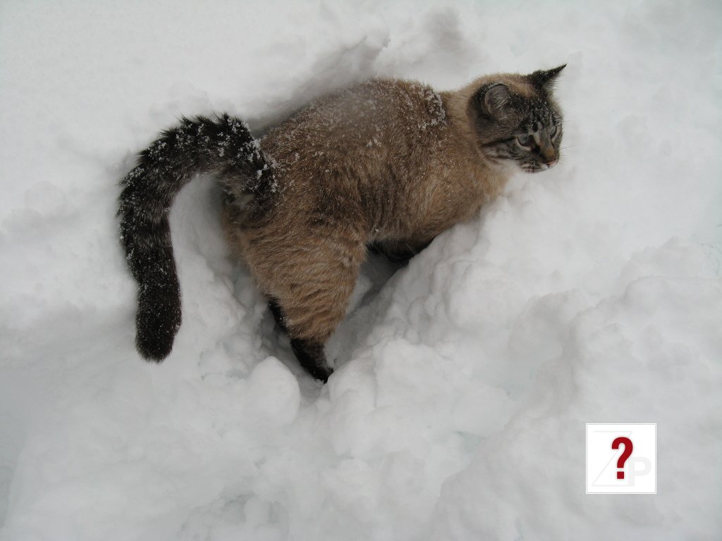 091209SamInSnow