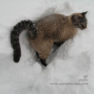 091209SamInSnow