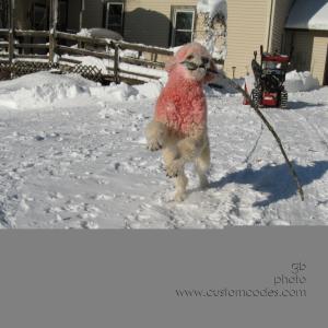 091210ElwoodBattlingTheStick