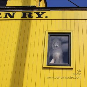 ElwoodInTheWindow