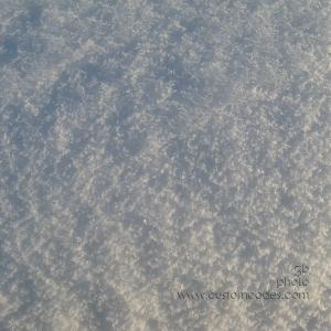 snowTexture20100306