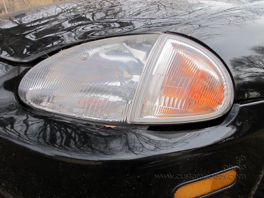 DeerHairInHeadlights