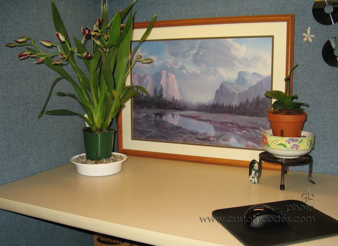 OfficeSerenity