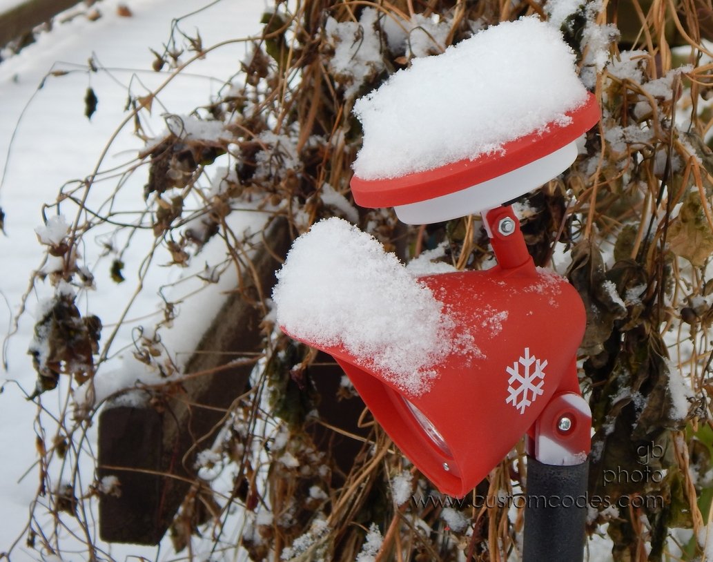 FirstSnow_20141116