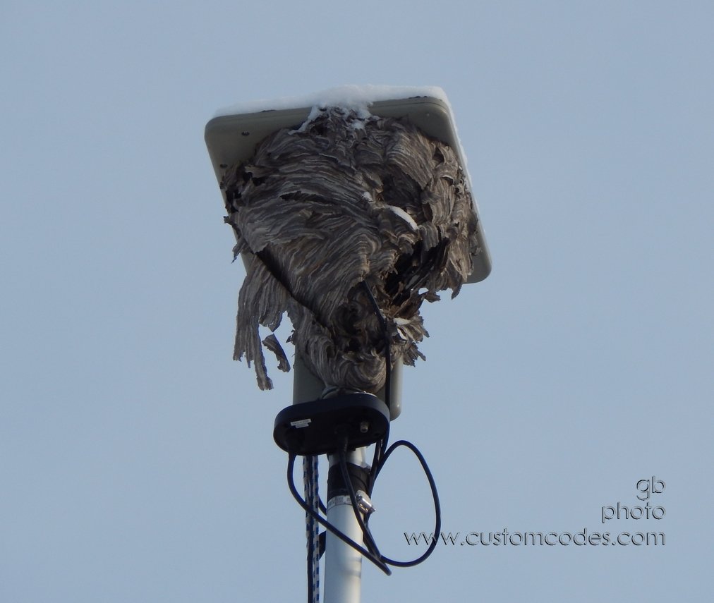 Antenna_20141116