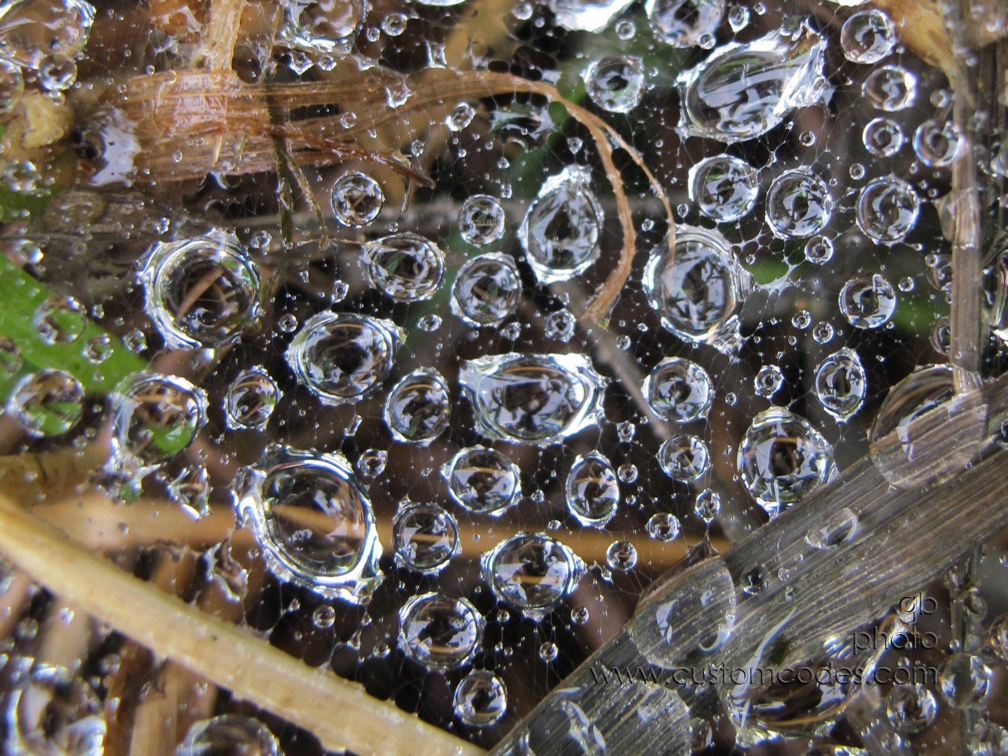 drops_20160715