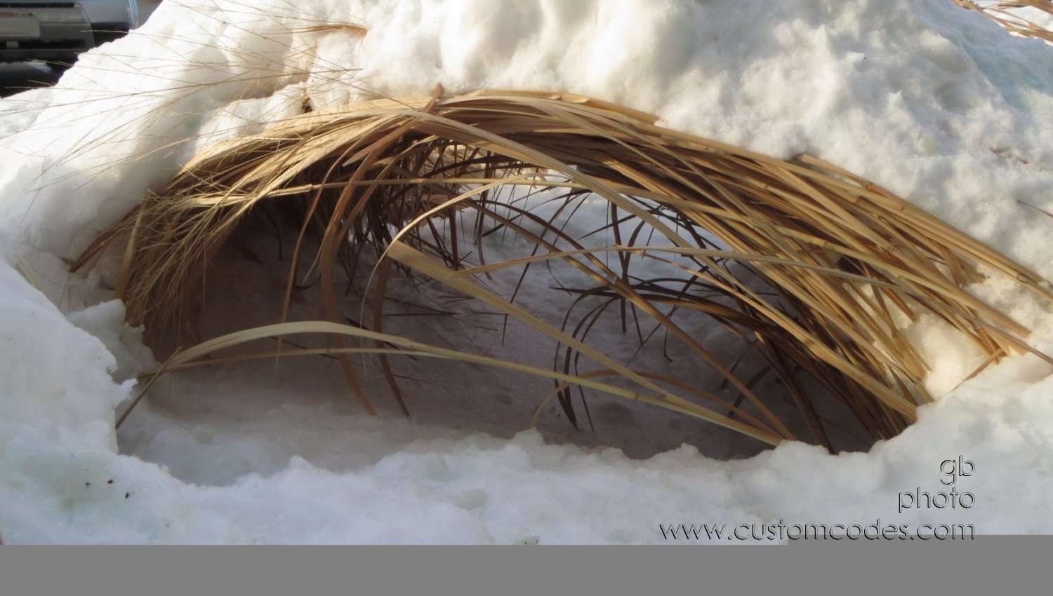 StormShelter_20131227