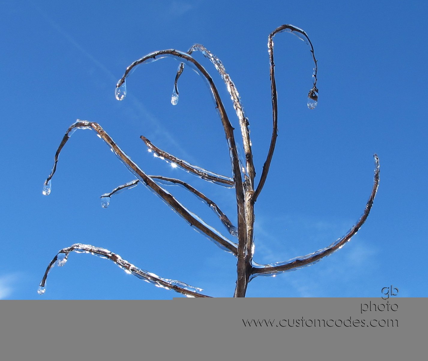 summac-1-20160325.jpg