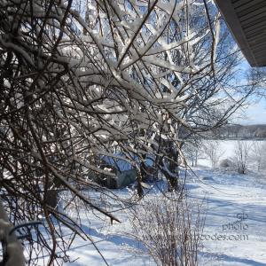 20190101DrivewayWest