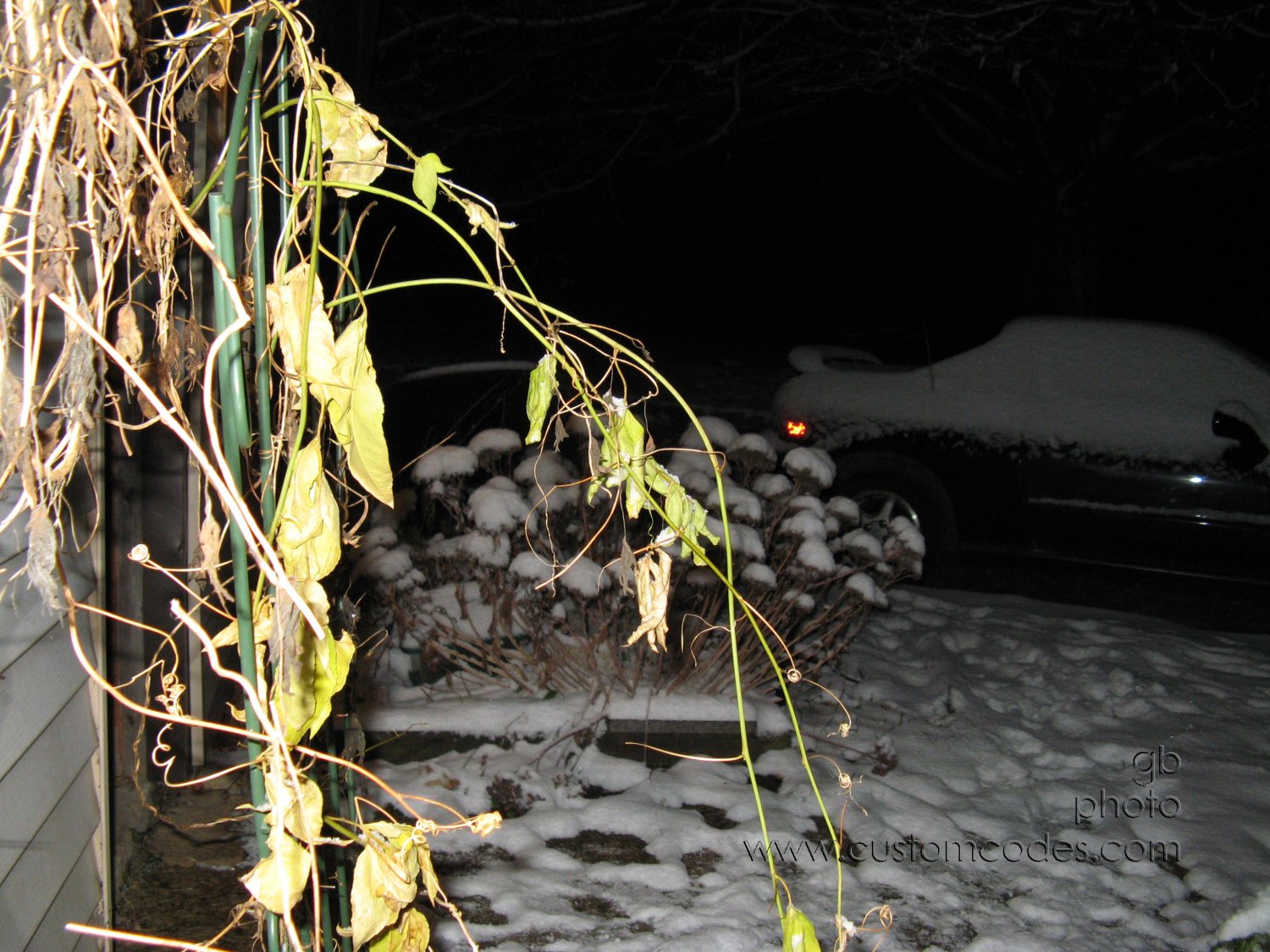 091203firstSnow