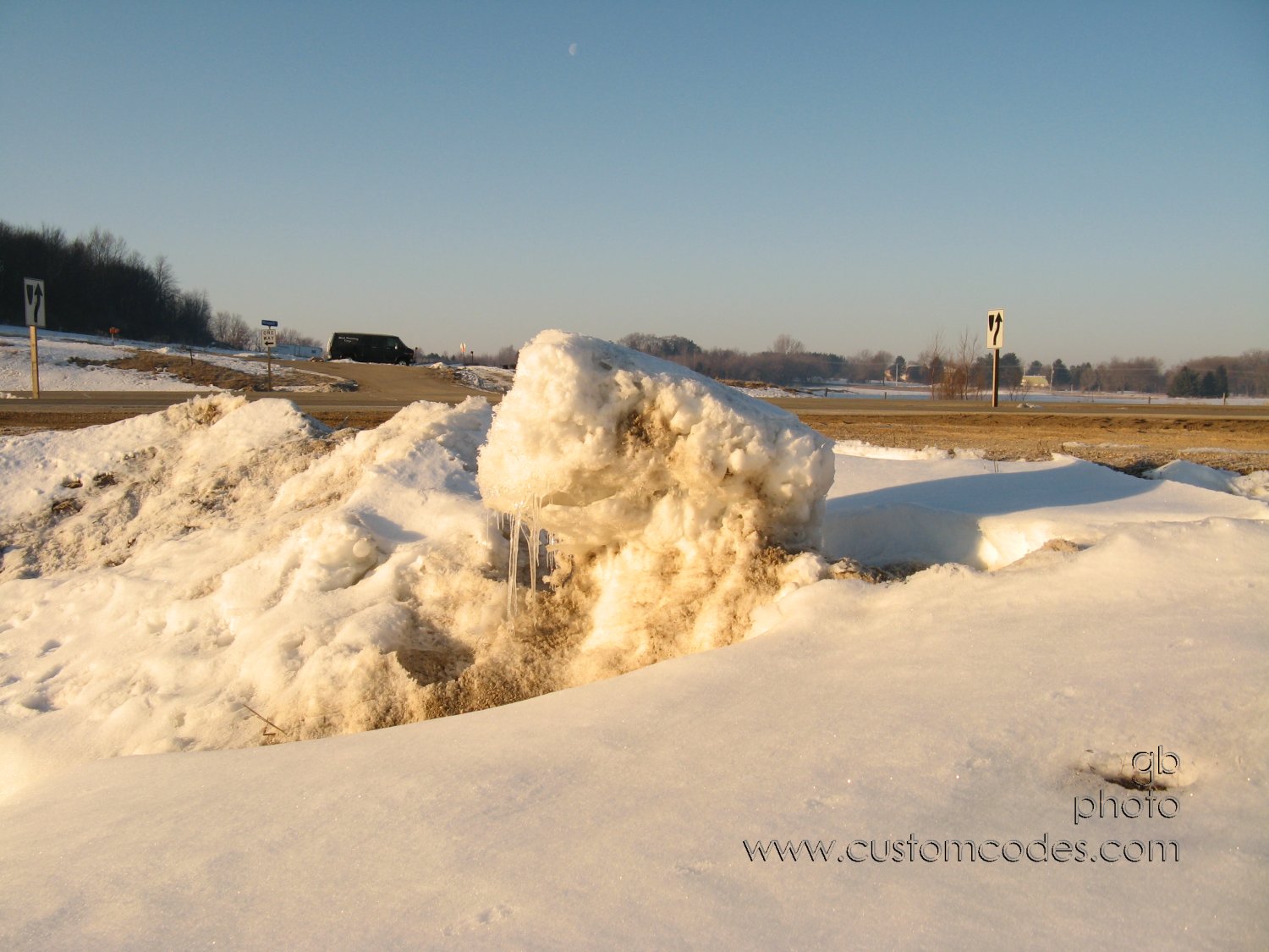 NaturesSculpture20100306_northside