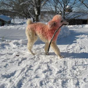 091210ElwoodsStickDJeur