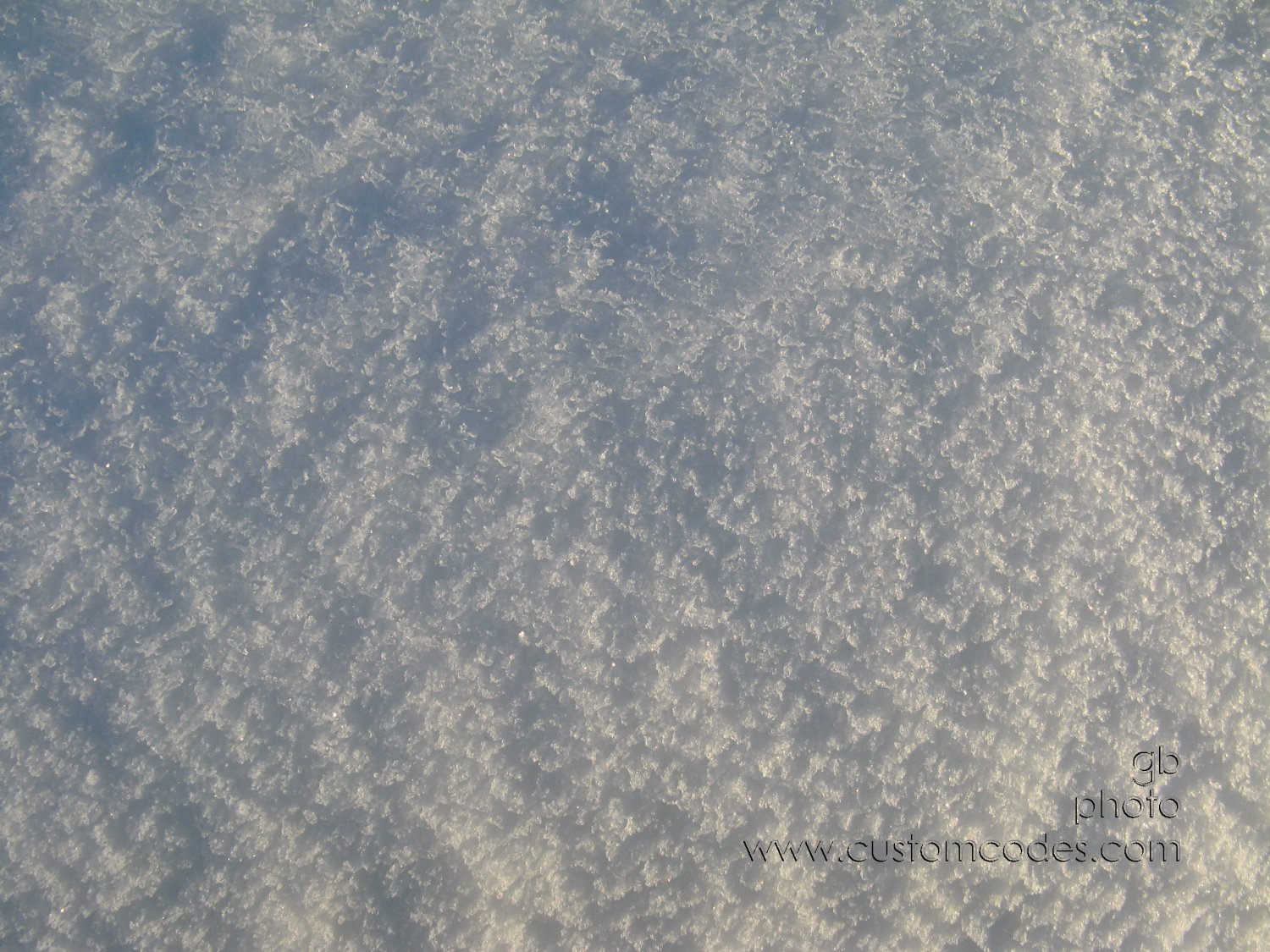 snowTexture20100306