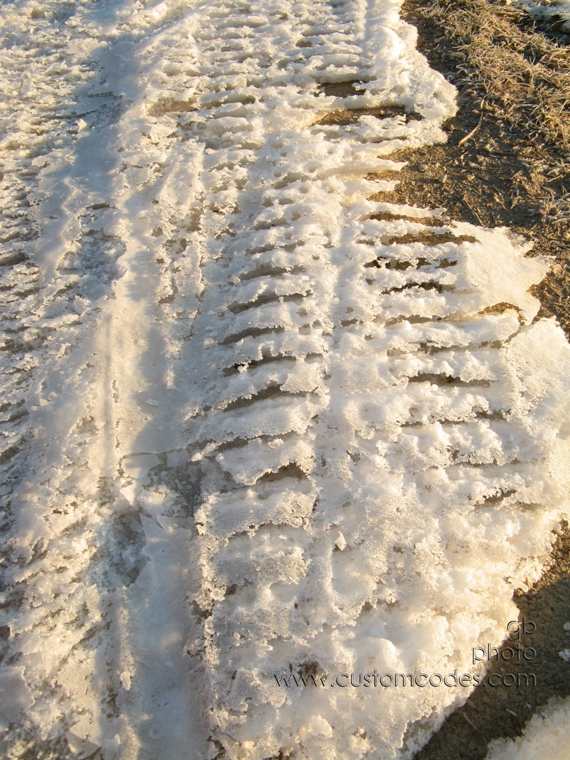 dinosaurTracks