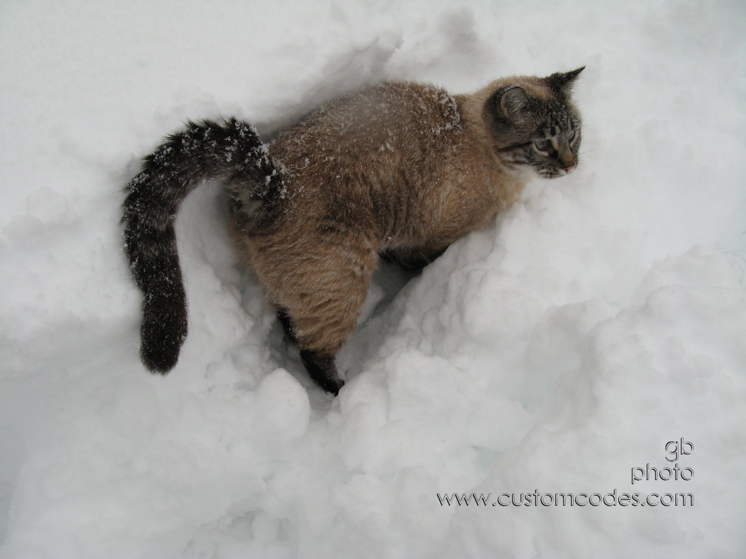 091209SamInSnow