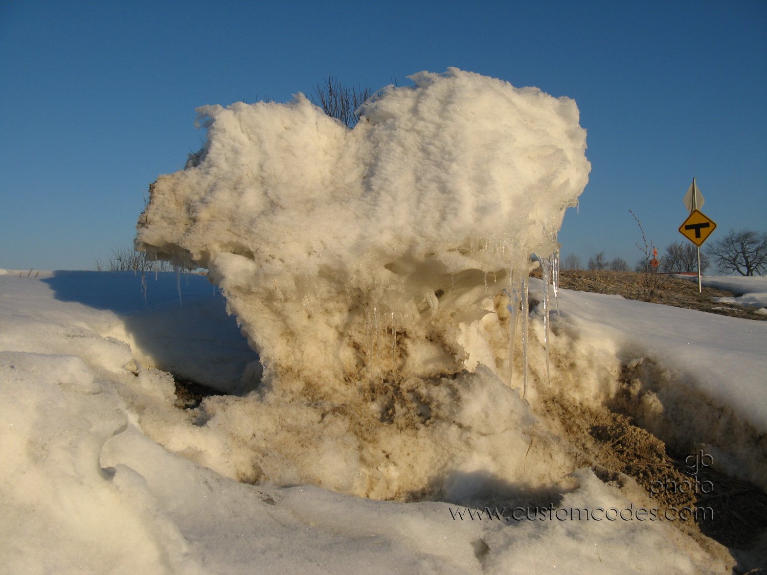 NaturesSculpture20100306