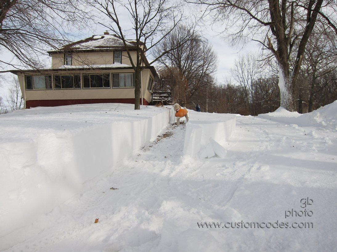 OnePass_2011_0202