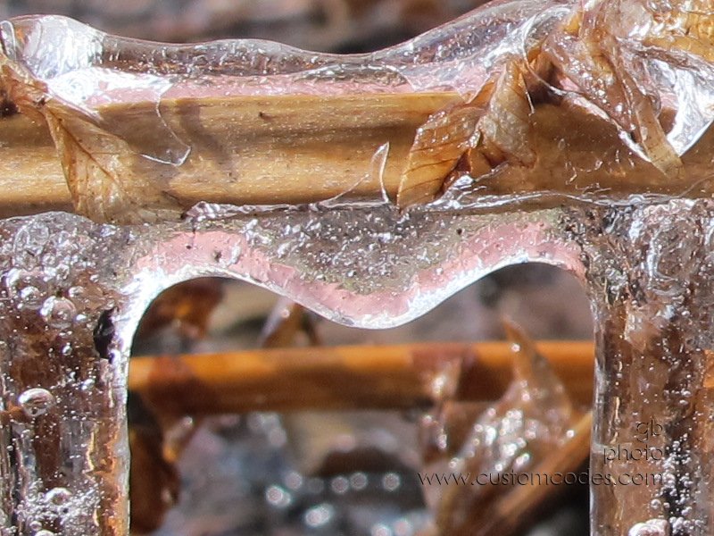 SpringIce_20110306_pink