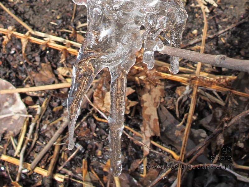 BottomOfRainChain_20110306