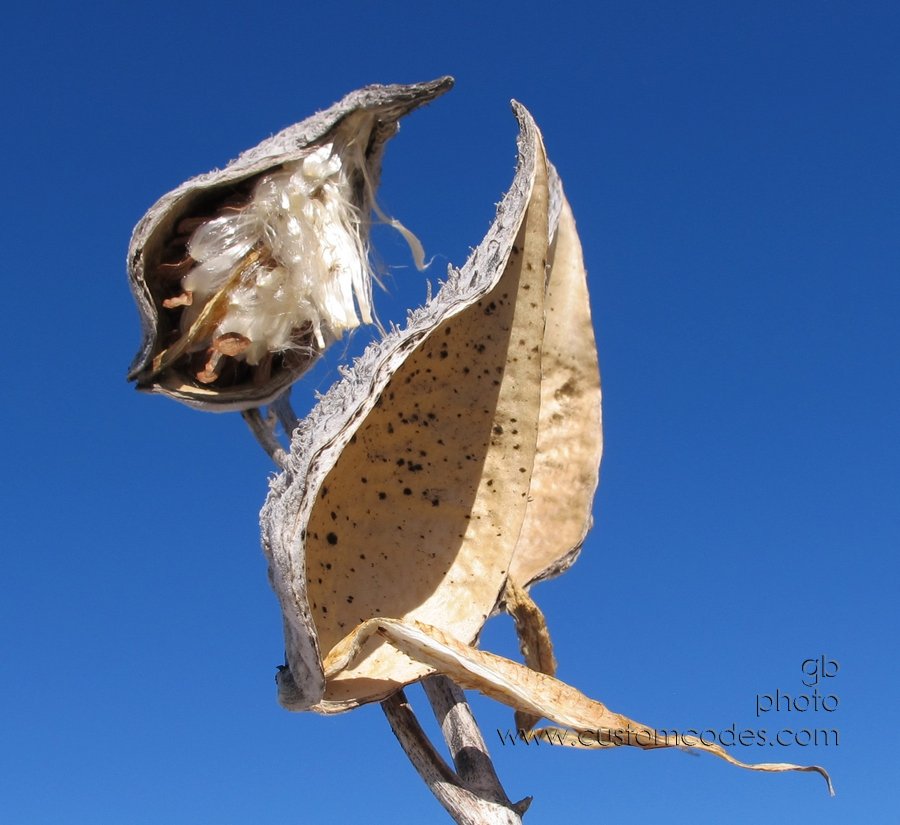 HoldingOn_20110219