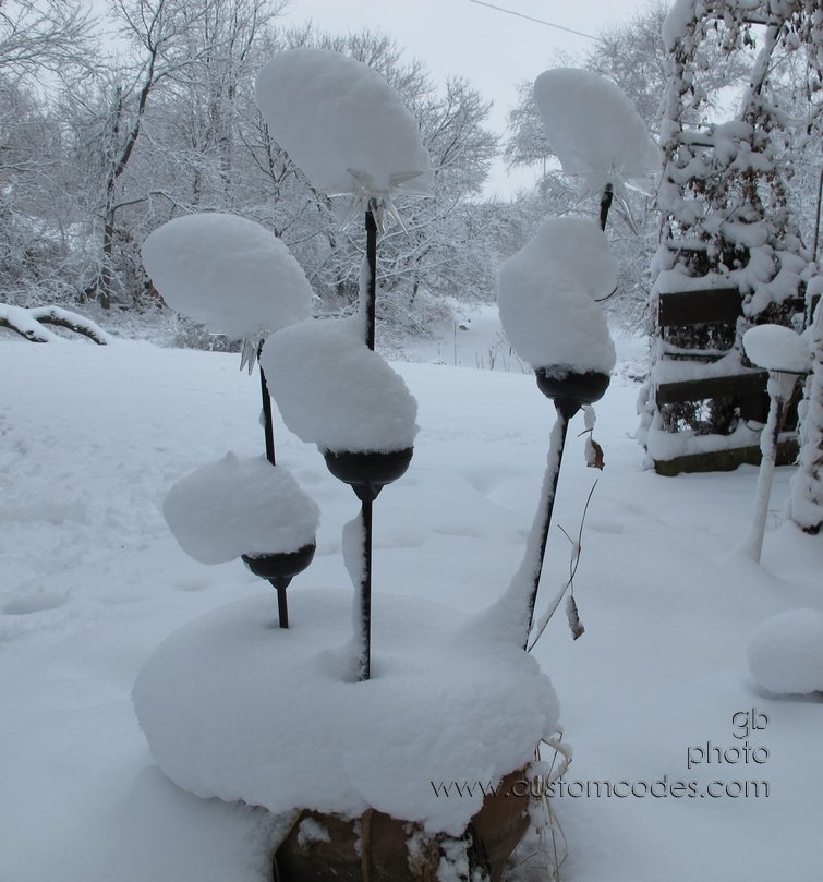 winterHats_20120224