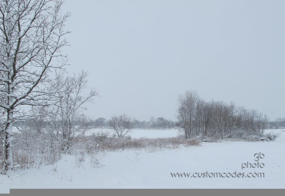 2theWest_20120224