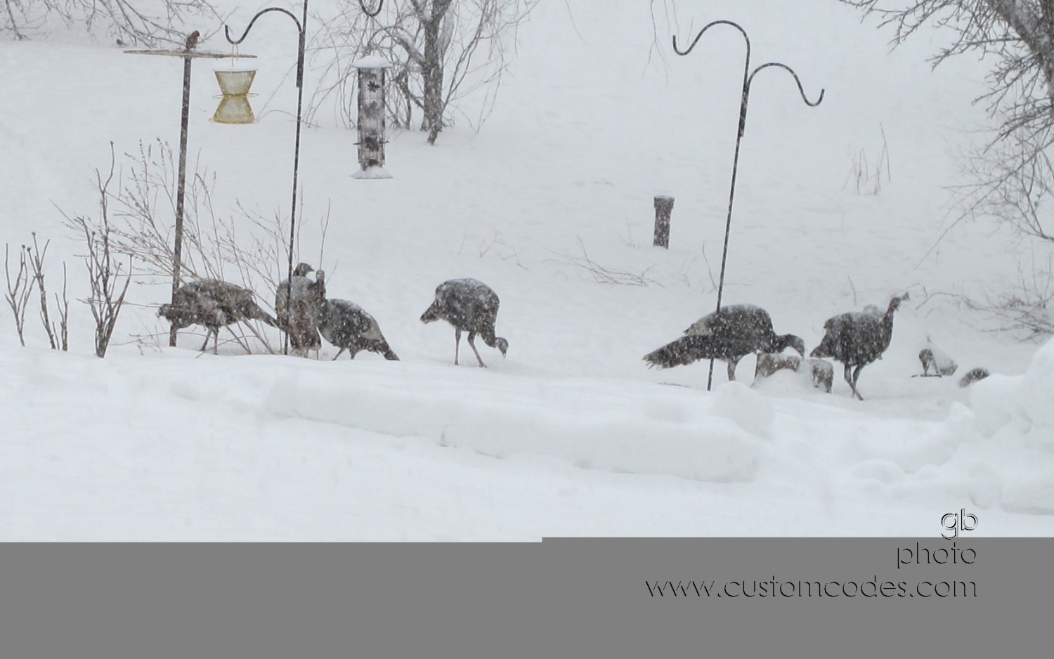 Feasting_20130305