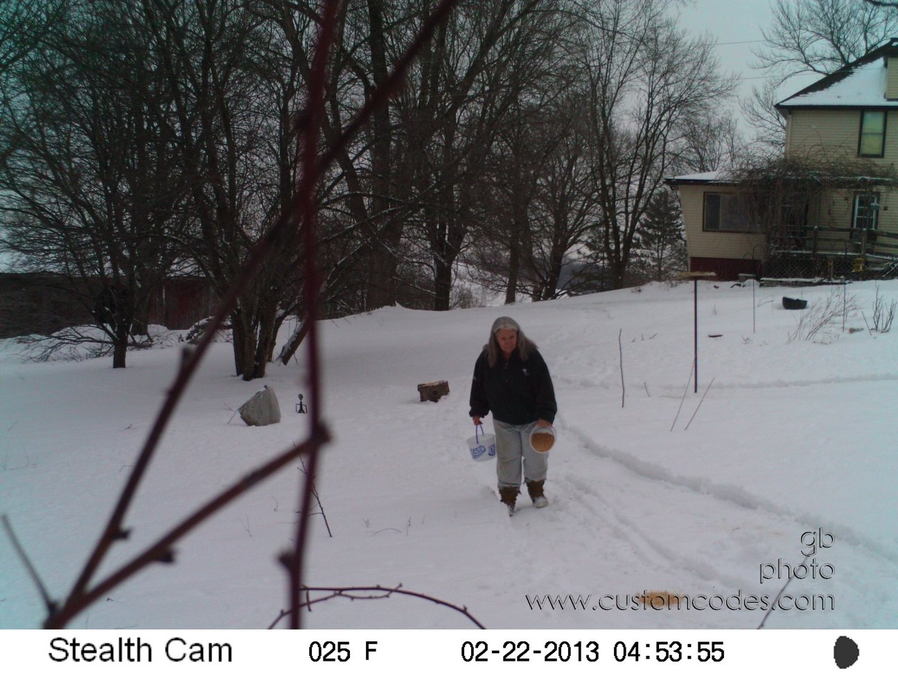 cause_20130222